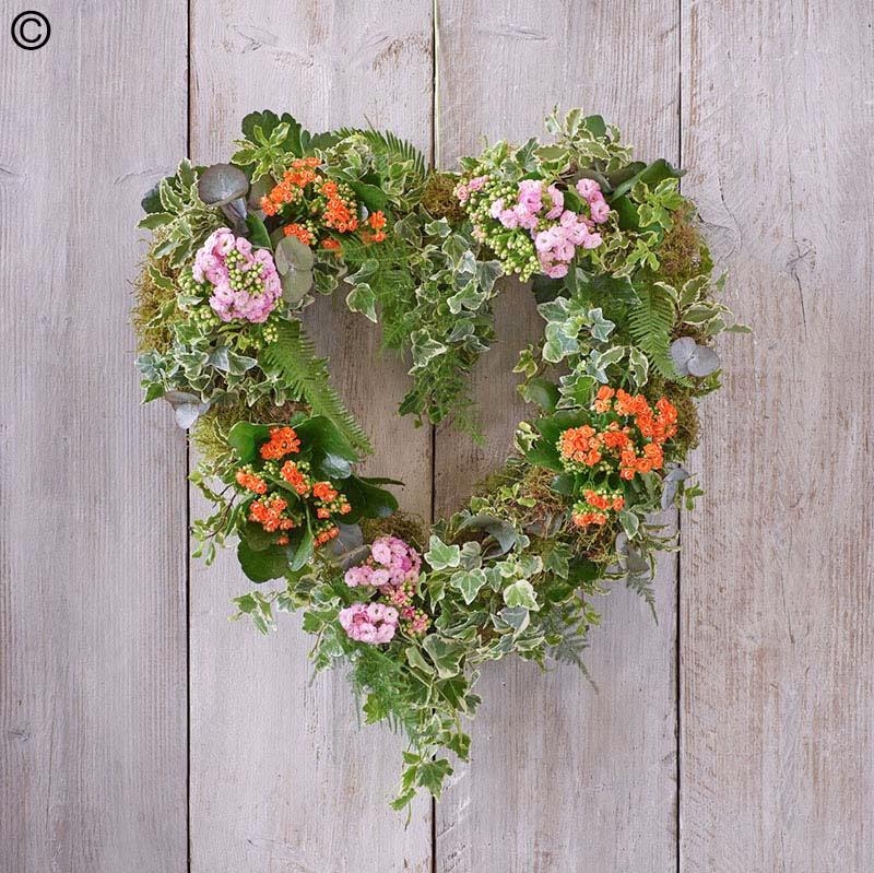 Living Plant Wreath