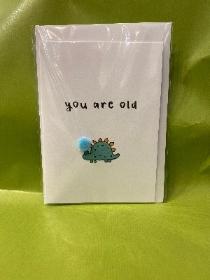 You are old